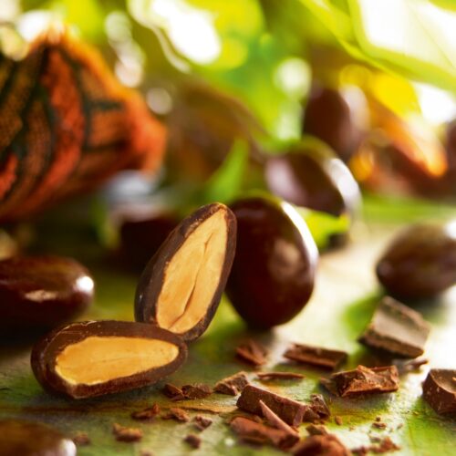 amande enrobée au chocolat noir origine pérou