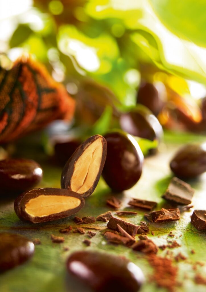 amande enrobée au chocolat noir origine pérou