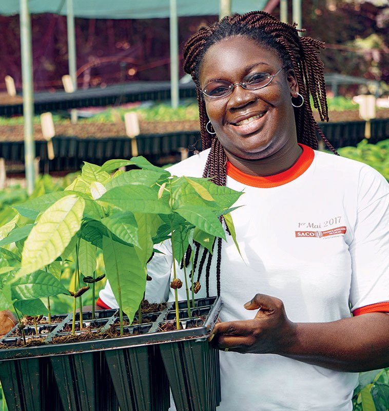 Plantation responsable Cocoa Horizons