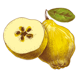 Coings