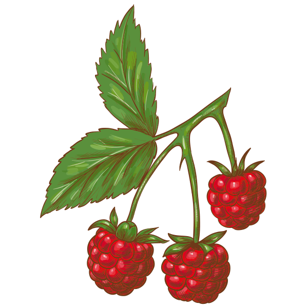 Framboises