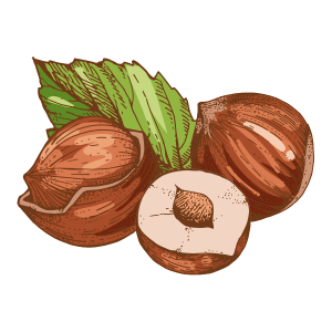 Noisettes