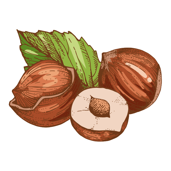Noisettes